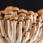 Eating Mushrooms Every Day Could Help To Reduce The Risk Of Cancer F